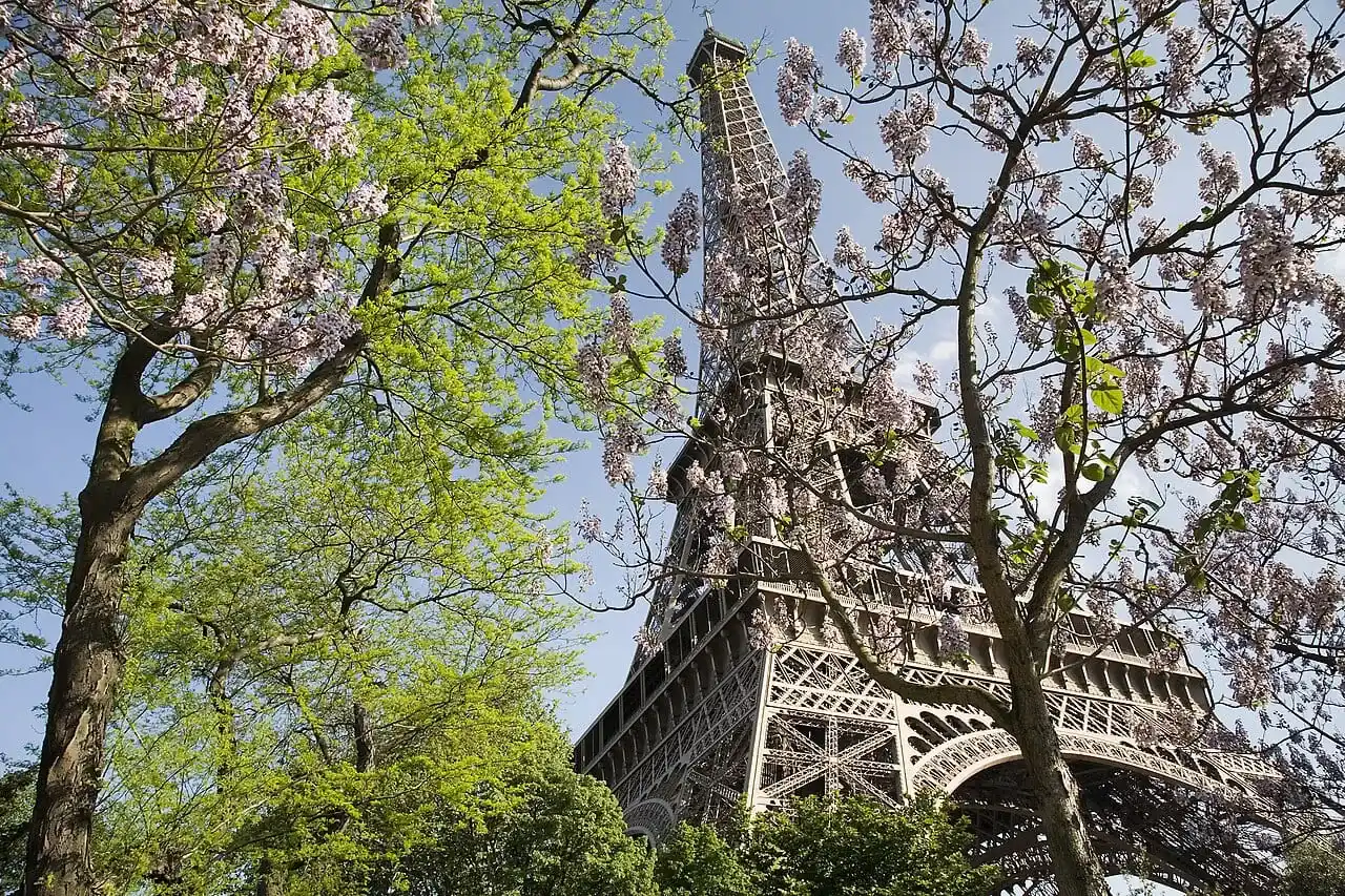 Mudanzas Sevilla a París: Torre Eiffel, edificios haussmanianos y calles del centro de París en Francia