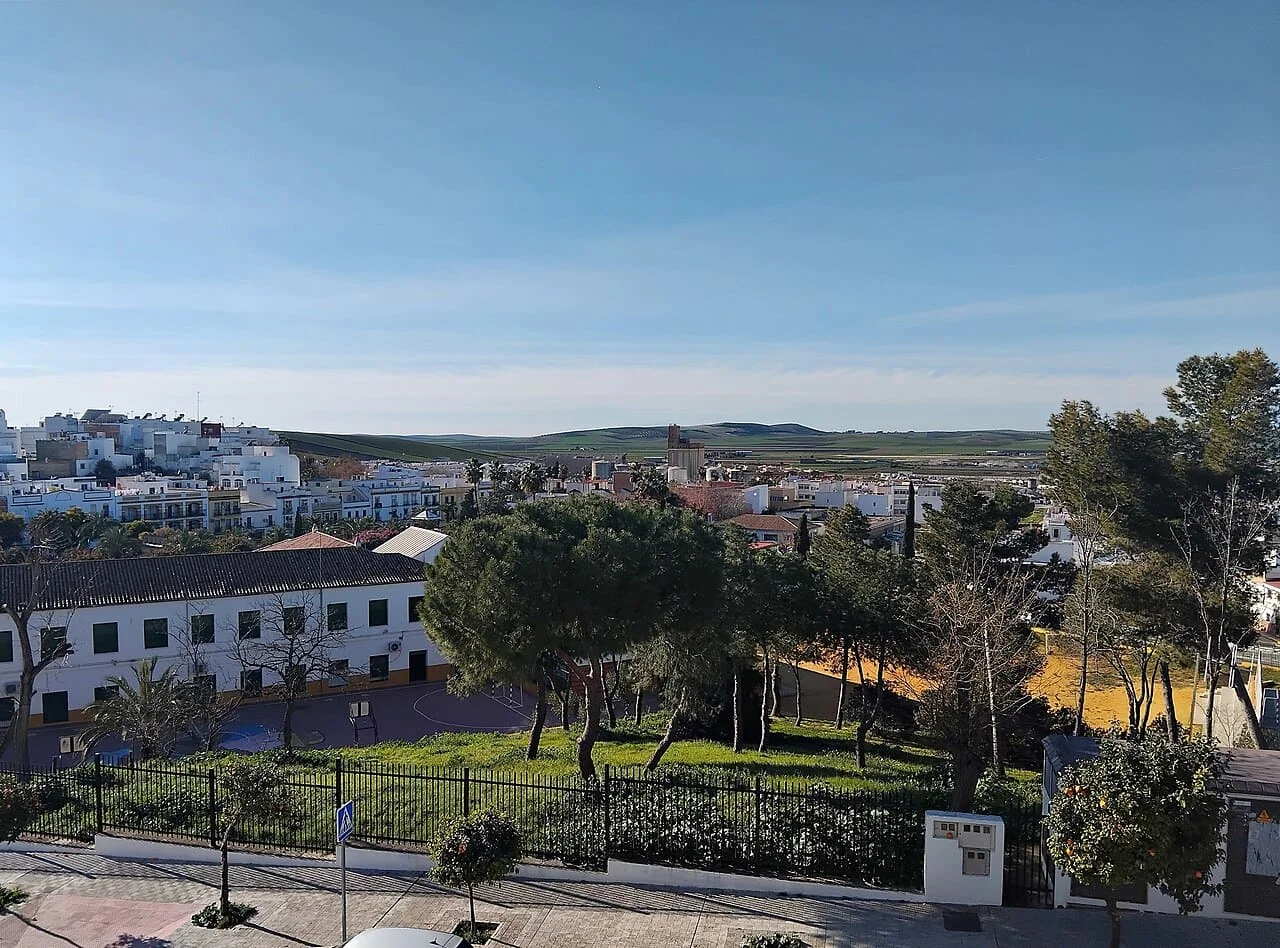 Equipo de mudanzas La Seda cargando muebles en una calle del casco amurallado de Marchena con camión marcado